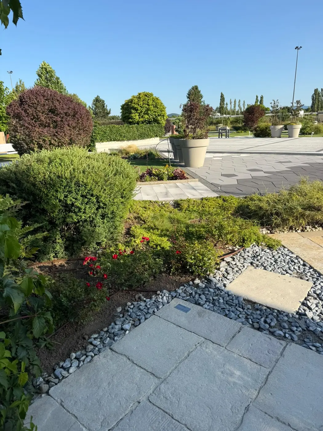 Uređena hortikultura
