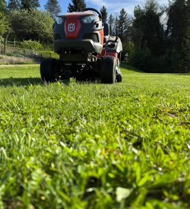 WhatsApp Image 2025-06-09 at 13.23.14